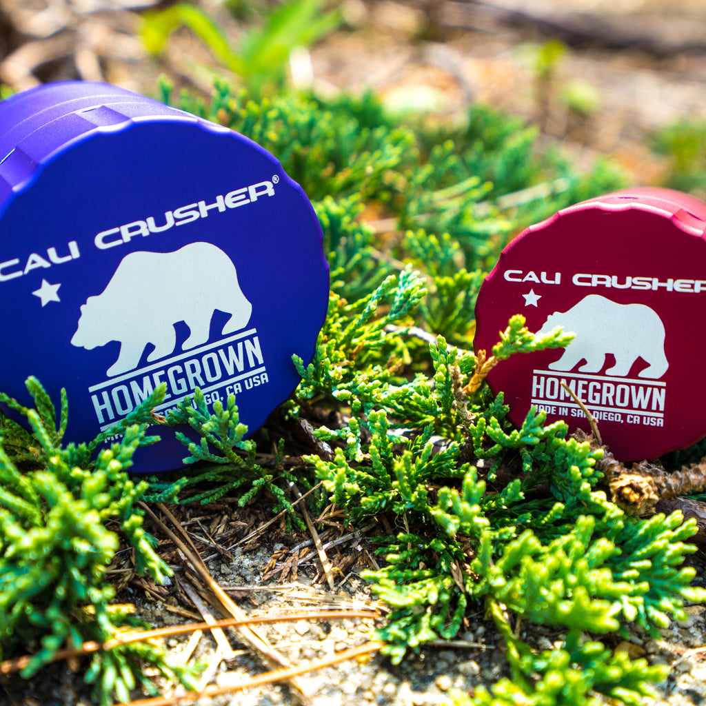 Summer Smoking Accessories - Dankstop Guides - Dankstop.com