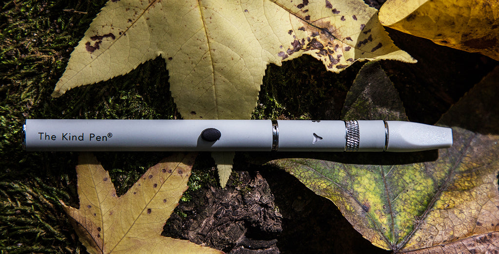 Beginner's Guide to Wax Pens