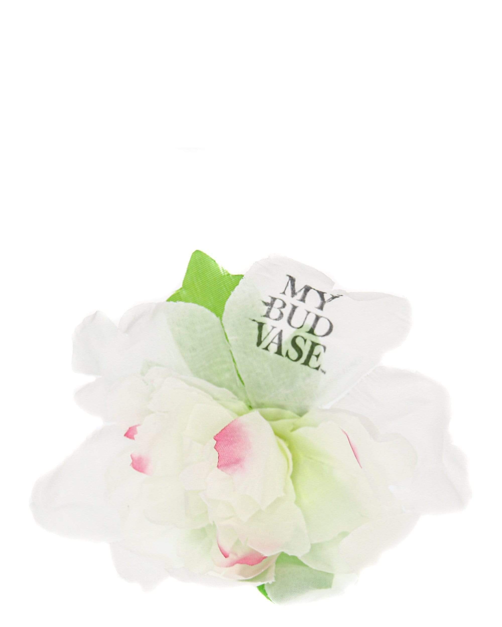 My Bud Vase Flower Poker