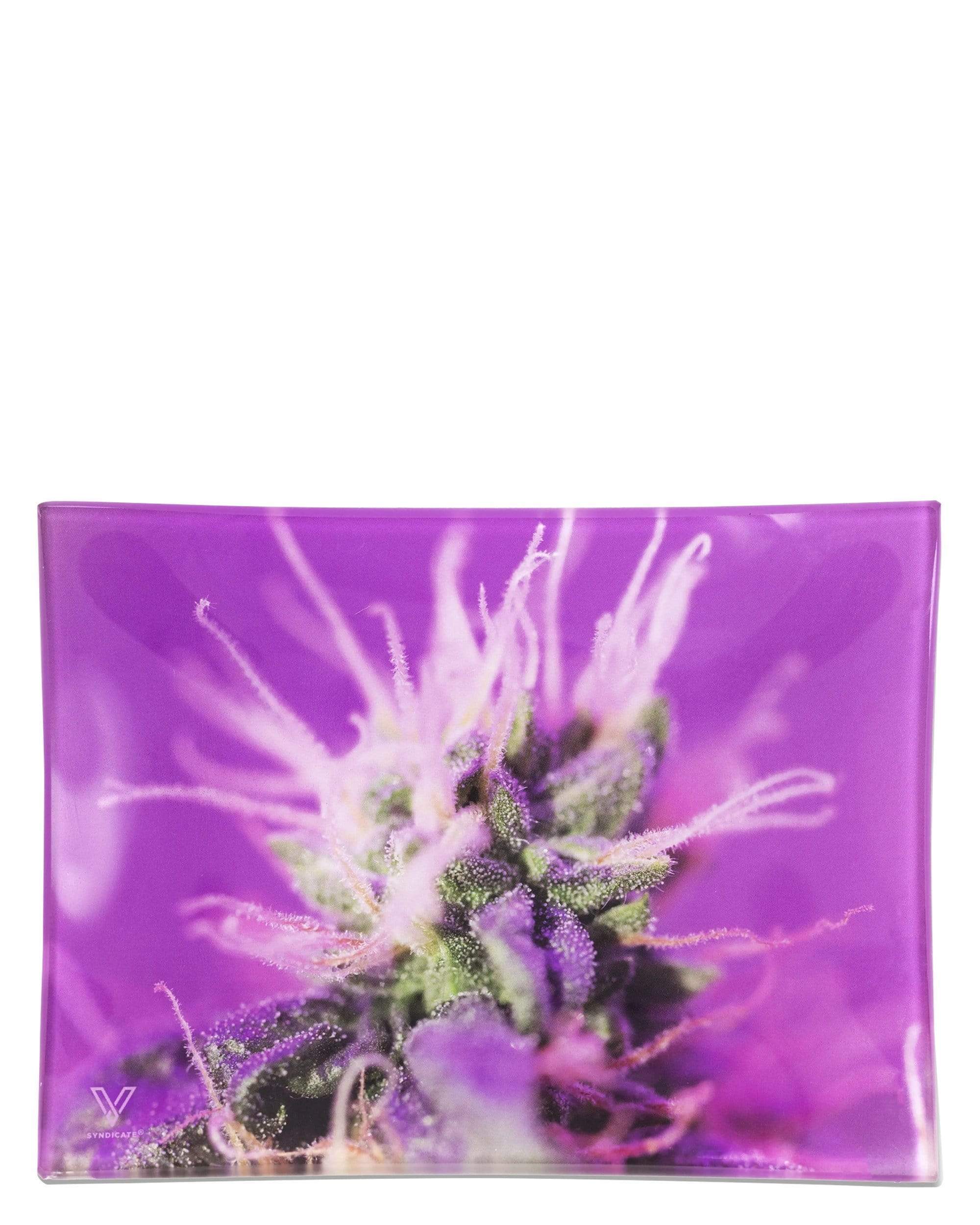 V Syndicate Strains Shatter Resistant Glass Tray